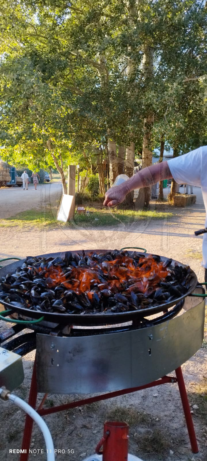 Brasucade de Moules Flambée